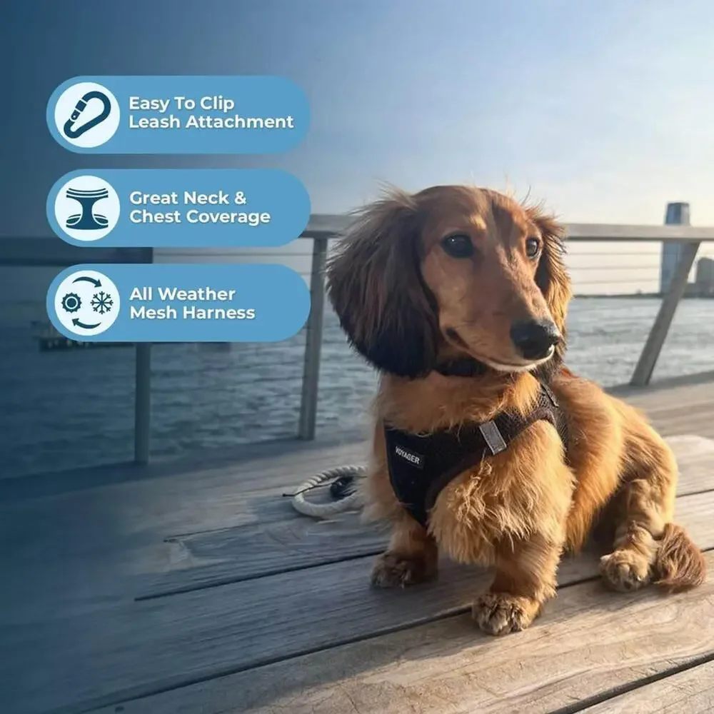 Best Pet Supplies Voyager Step-in Air Dog Harness